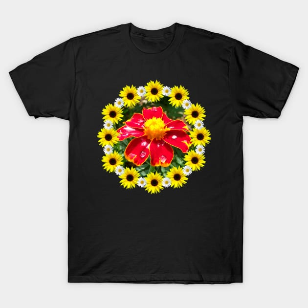 marigold flower with raindrops, sunflower, daisy blossoms T-Shirt by rh_naturestyles